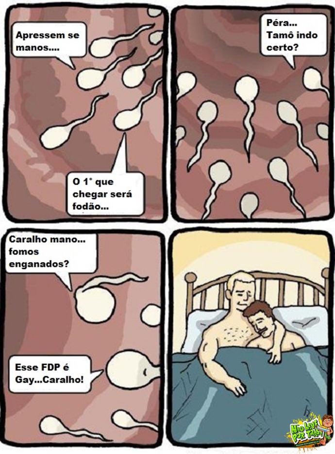 gay espermatozoide