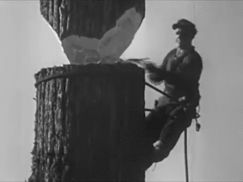 b9a0fd7c75ce290b22783b3d51e3a950.gif